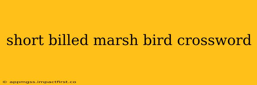 short billed marsh bird crossword