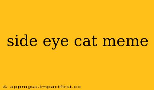side eye cat meme