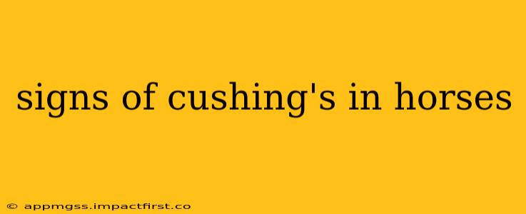 signs of cushing's in horses