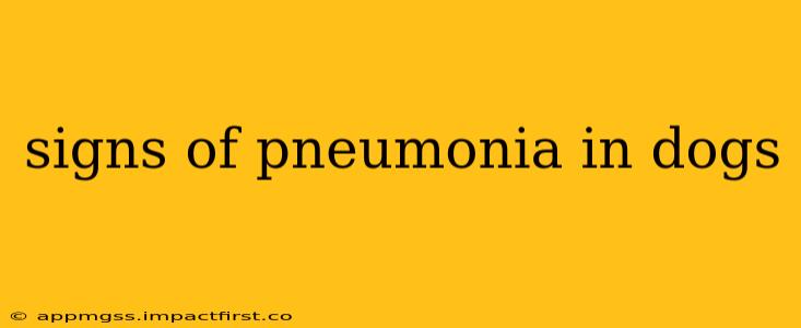 signs of pneumonia in dogs
