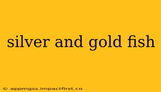 silver and gold fish