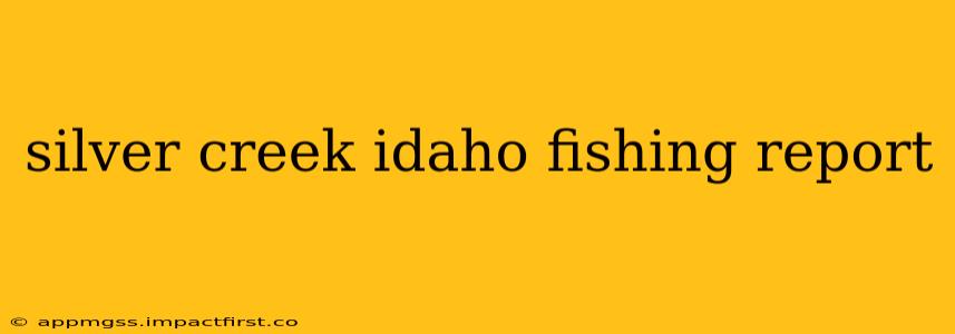 silver creek idaho fishing report