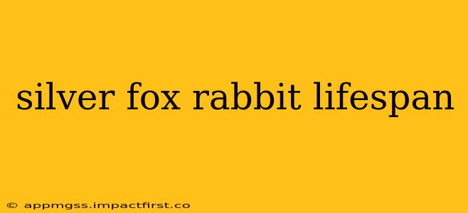 silver fox rabbit lifespan