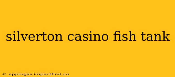 silverton casino fish tank