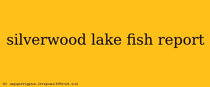 silverwood lake fish report