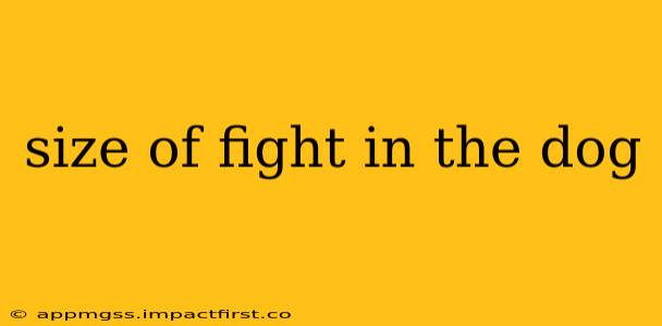 size of fight in the dog
