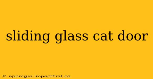 sliding glass cat door