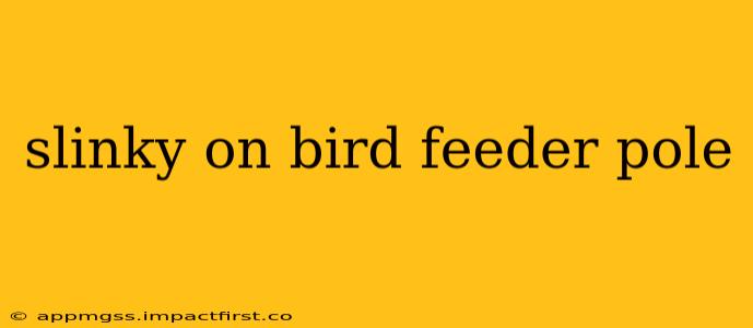 slinky on bird feeder pole