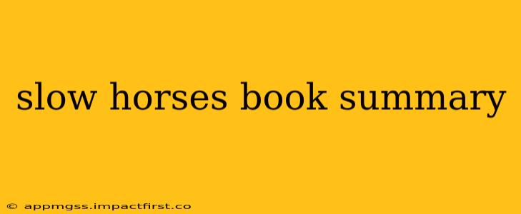 slow horses book summary