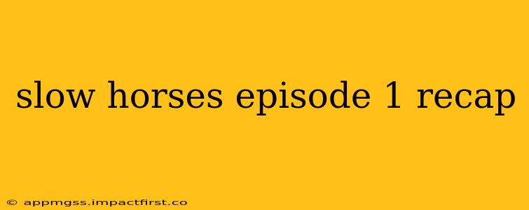 slow horses episode 1 recap