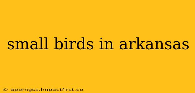 small birds in arkansas