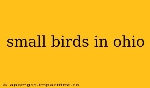 small birds in ohio