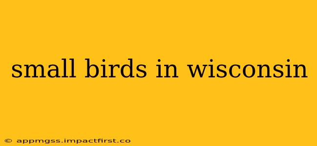 small birds in wisconsin