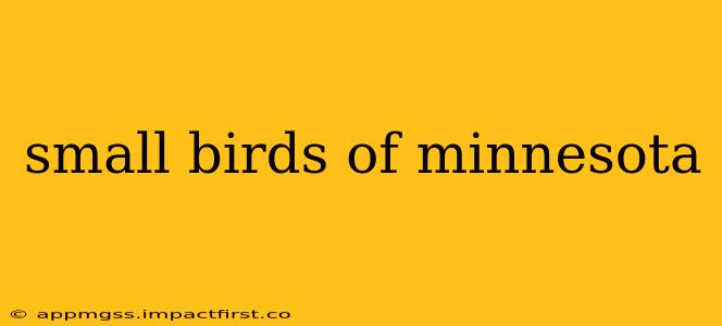 small birds of minnesota