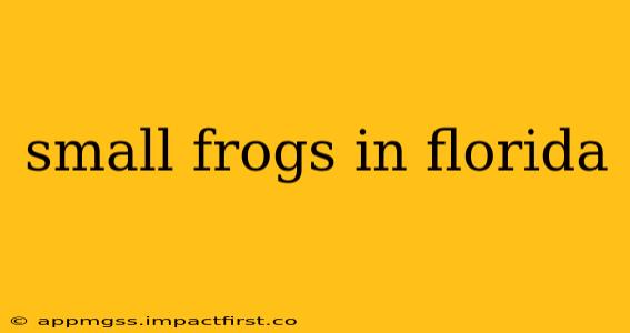 small frogs in florida