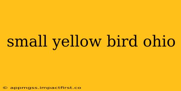 small yellow bird ohio