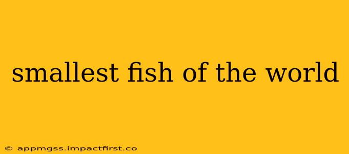 smallest fish of the world