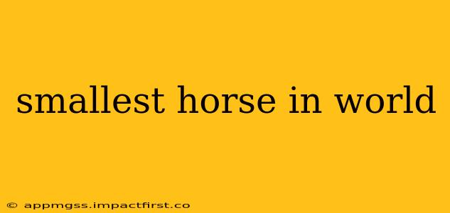 smallest horse in world
