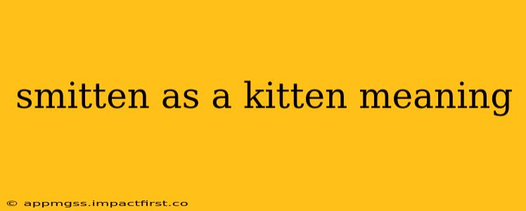 smitten as a kitten meaning