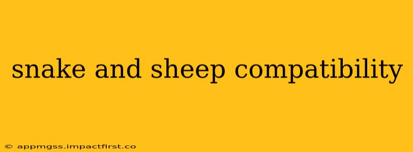 snake and sheep compatibility