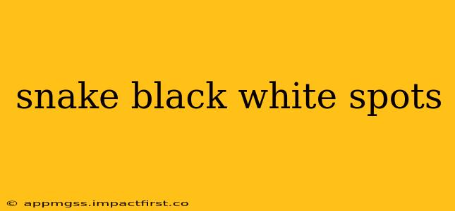 snake black white spots
