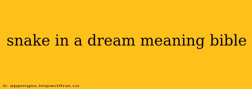 snake in a dream meaning bible