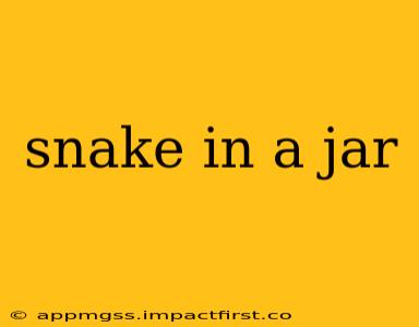 snake in a jar