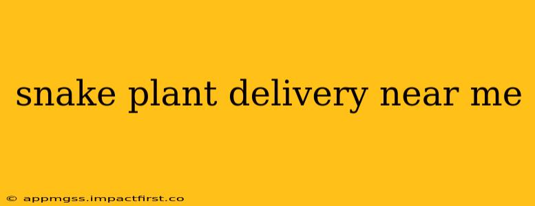 snake plant delivery near me