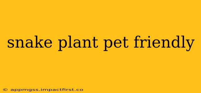 snake plant pet friendly