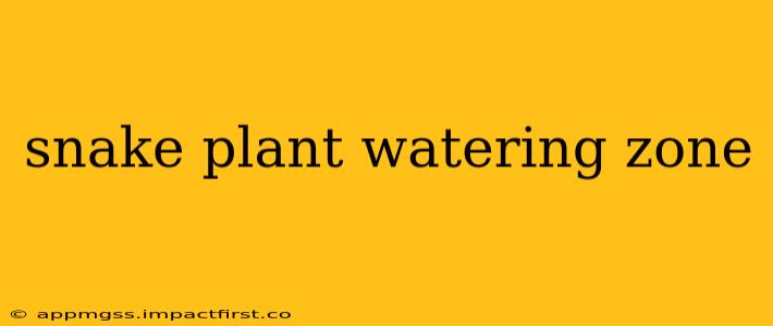 snake plant watering zone