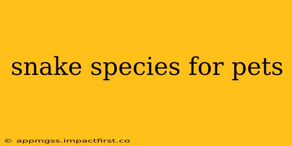 snake species for pets