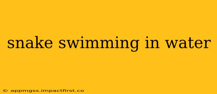 snake swimming in water