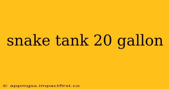 snake tank 20 gallon