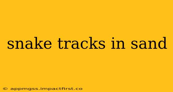 snake tracks in sand
