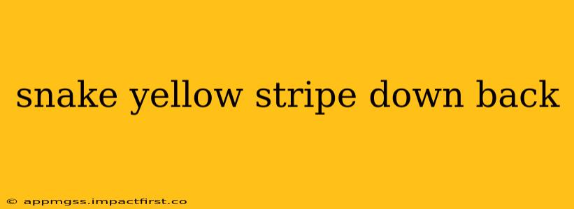 snake yellow stripe down back