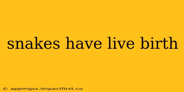 snakes have live birth
