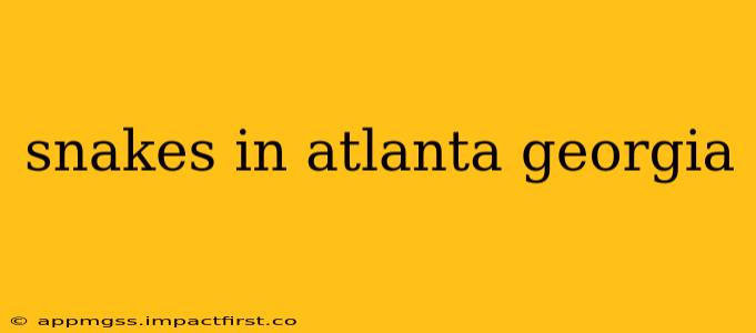snakes in atlanta georgia