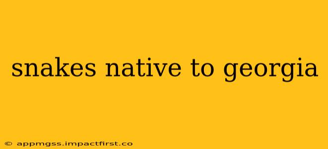 snakes native to georgia