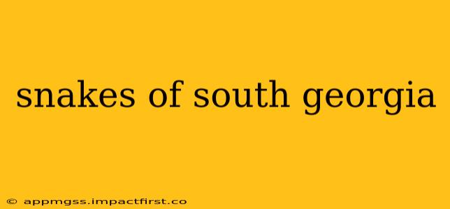 snakes of south georgia