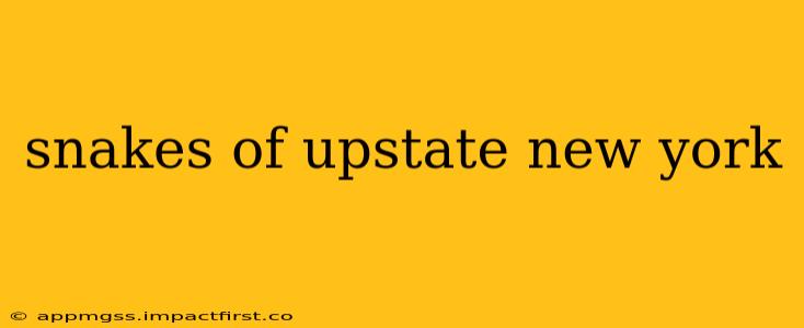 snakes of upstate new york
