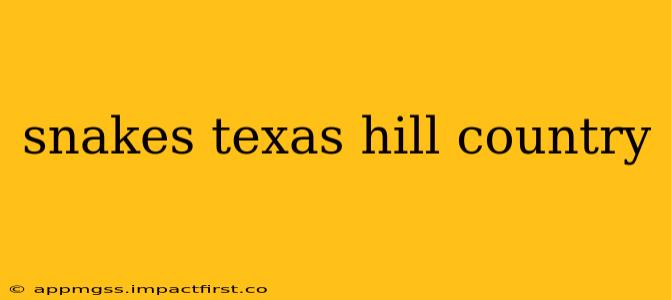 snakes texas hill country