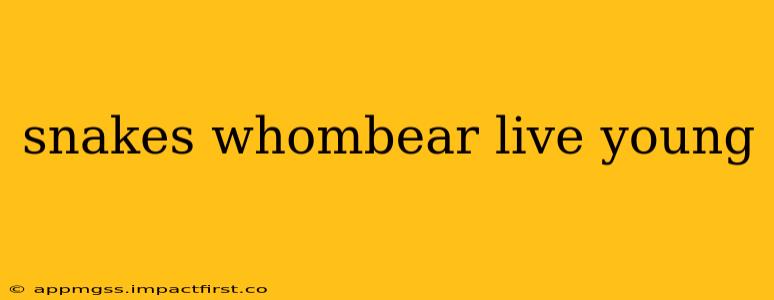snakes whombear live young