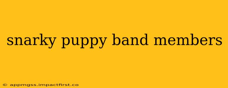 snarky puppy band members