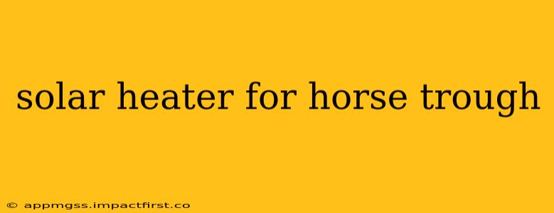 solar heater for horse trough