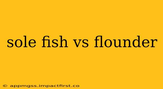 sole fish vs flounder