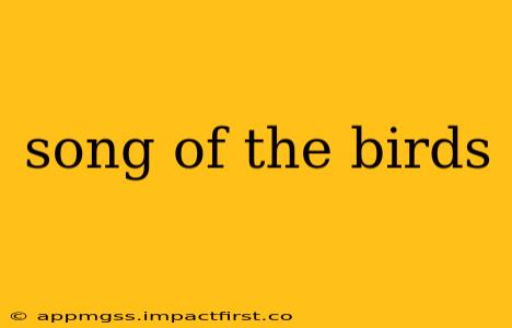 song of the birds