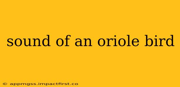 sound of an oriole bird