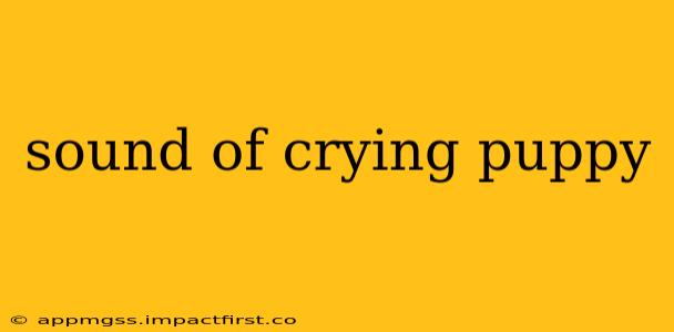 sound of crying puppy