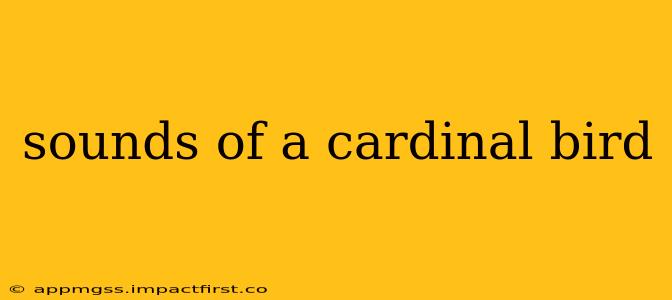 sounds of a cardinal bird