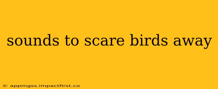 sounds to scare birds away